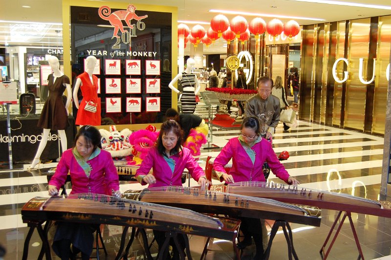 2.13.2016 (1530PM) - Year of the Monkey Celebration at Bloomingdale, Virginia (2).JPG